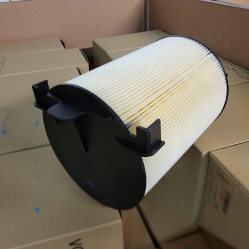 Air Filter, 1F0129620