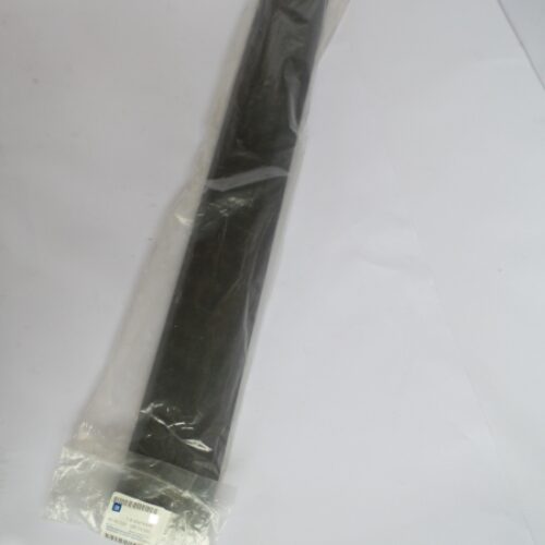 Trim/Protective Strip, Door, 96816946