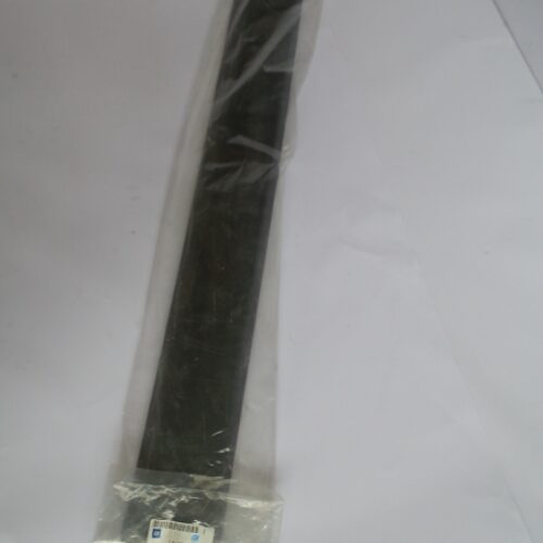 Trim/Protective Strip, Door, 96816947