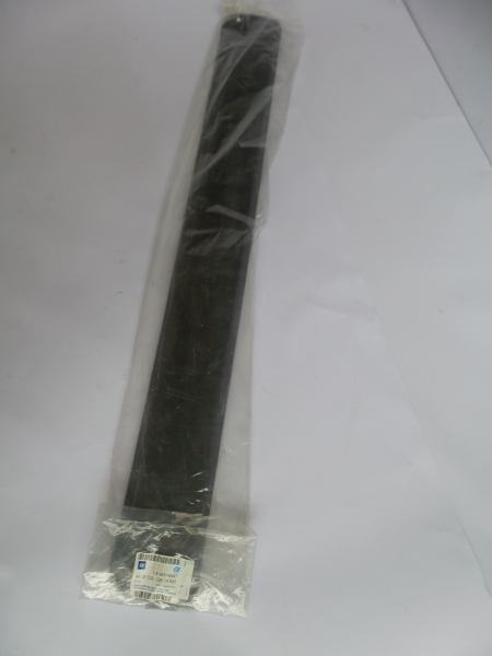 Trim/Protective Strip, Door, 96816947