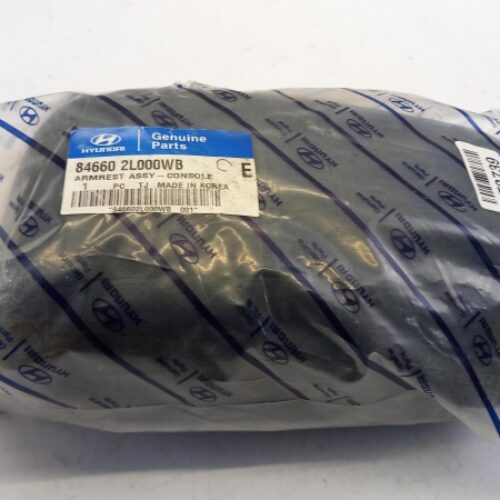 Armrest, 846602L000WB
