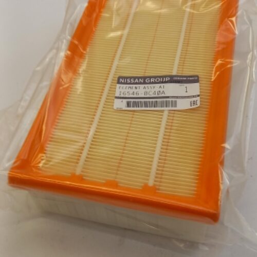 Air Filter, 16546BC40A