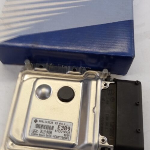Control Unit, Engine Management, 3911504389