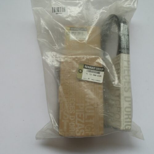 V-Belt Kit, 117208883R