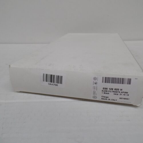 Air Filter, 036129620H