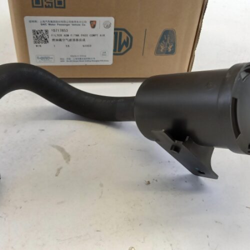 Fuel Filter, 10717853