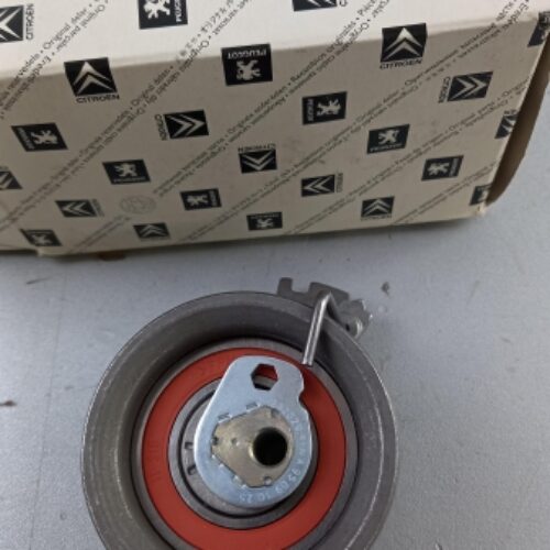 Belt Tensioner/Pulley, 0829C7