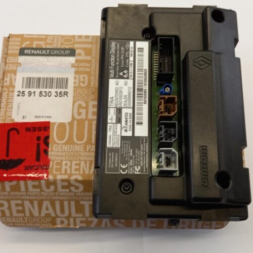 Display Unit, 259153035R