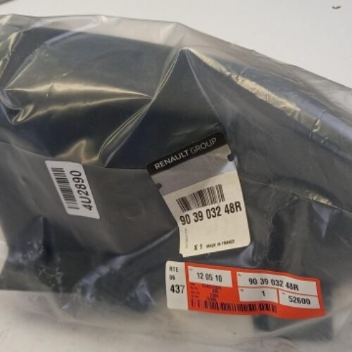 Trim/Protective Strip, Sidewall, 903903248R