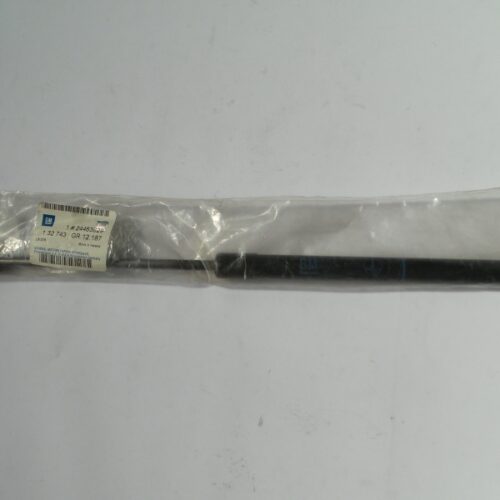 Gas Spring, Boot-/Cargo Area, 24463829