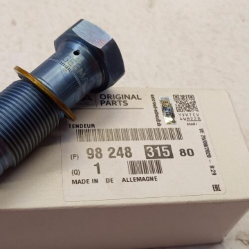 Tensioner, Timing Chain, 9824831580