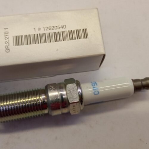 Spark Plug, 12620540