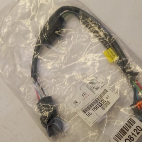 Cable Harness, 9818631080