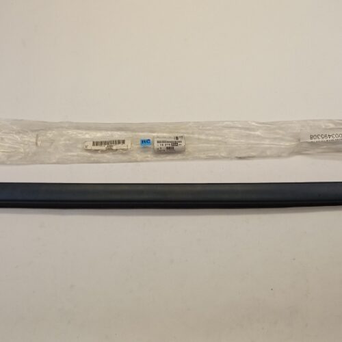 Trim/Protection Strip, Windscreen, 1607056480
