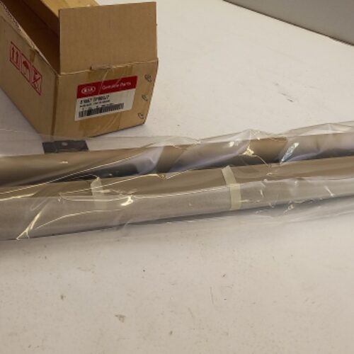 Sun Shades, 816672P000J7