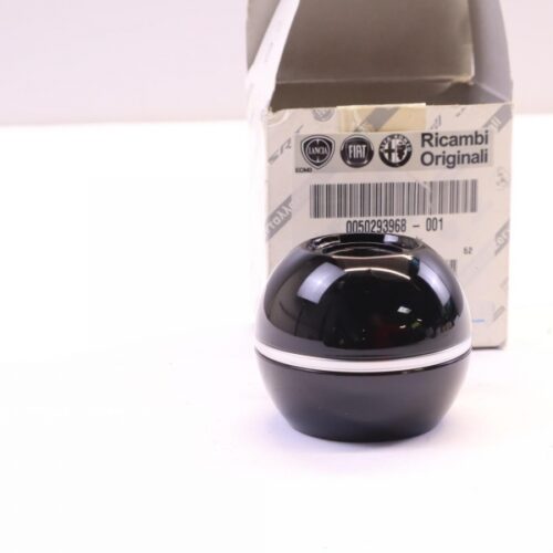 Gear Lever Knob, 50293968