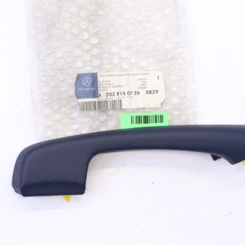 Grab Handle, Door (Interior), A20281507365B29