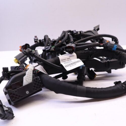 Cable Harness, Engine, 9812022580
