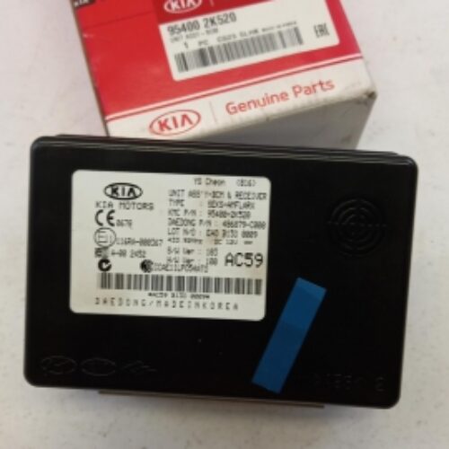 Control Unit, Central Locking System, 954002K520