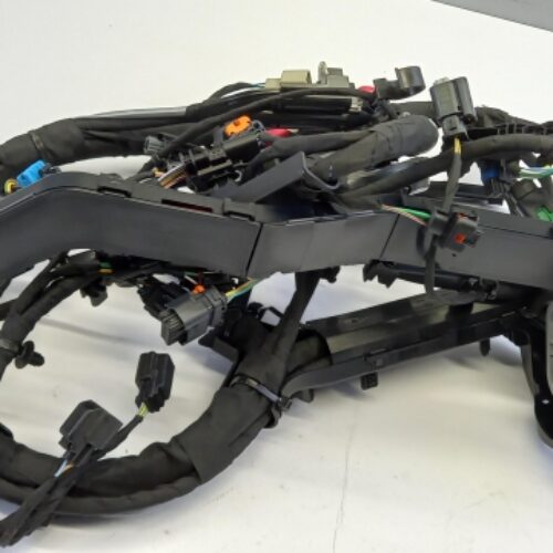 Cable Harness, Engine, 2415547