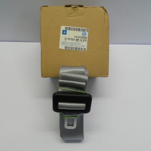 Seat Belt Lock, 13122393