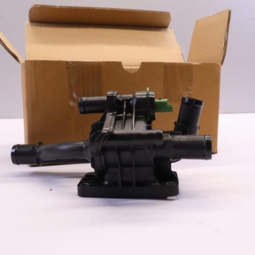 Thermostat, Coolant, 1769069K10000