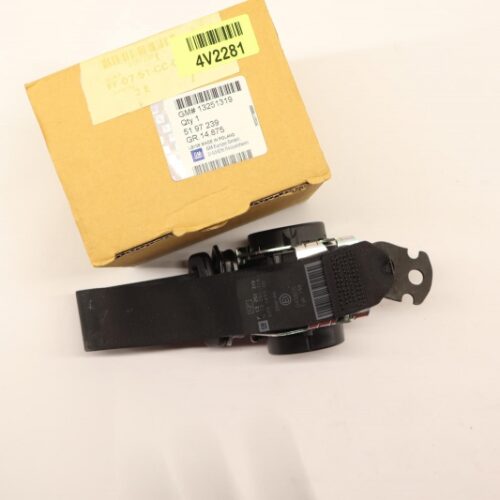 Seat Belt, 13251319