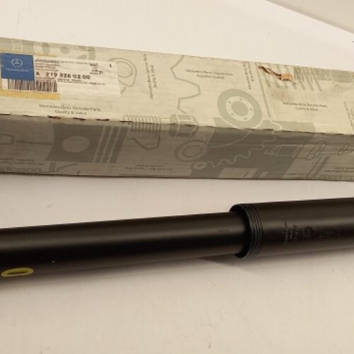 Shock Absorber, A2193260200