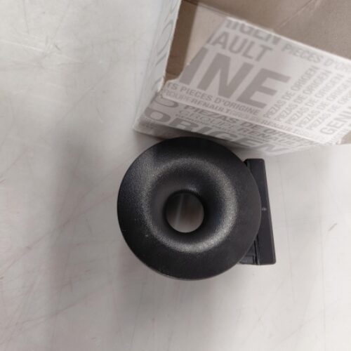 Lock Immobilizer Ring, 8200405701