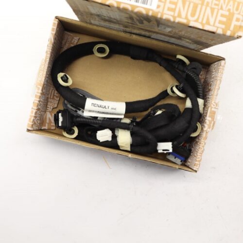 Cable Harness, Door, 241275092R