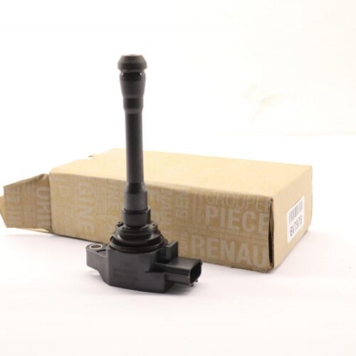 Ignition Coil, 224334808R