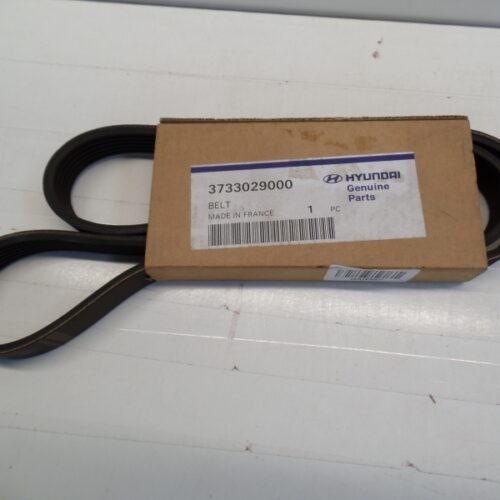 V-Belt, 3733029000