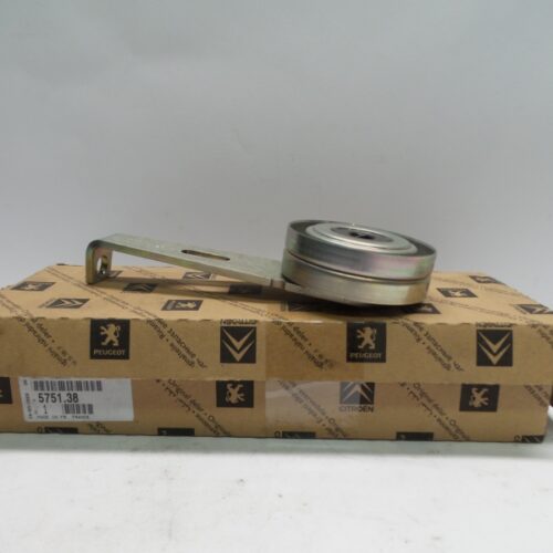 Belt Tensioner/Pulley, 575138