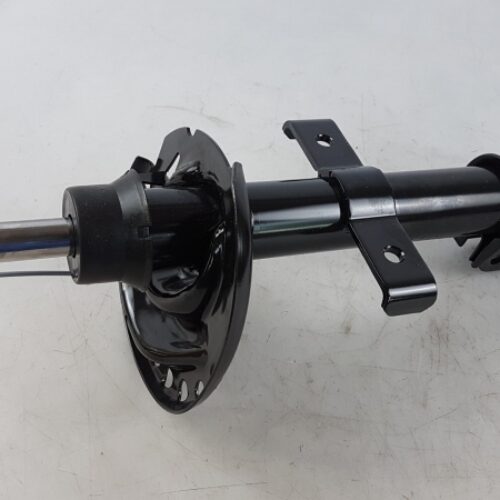 Shock Absorber, 543020638R