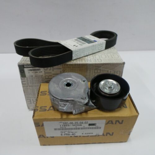 V-Belt Kit, 117202663R