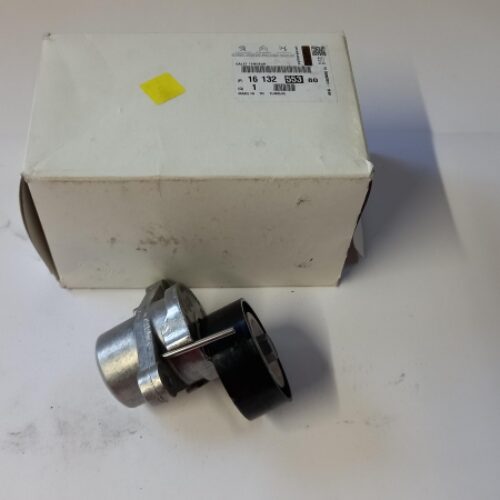 Belt Tensioner/Pulley, 1613255380