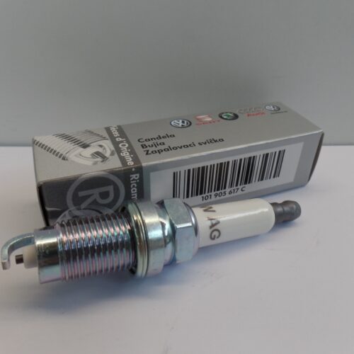 Spark Plug, 101905617C