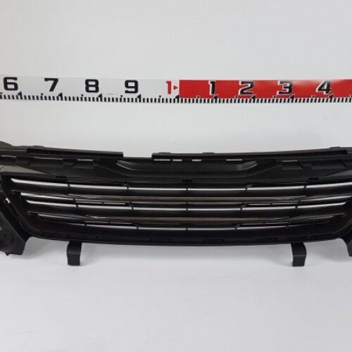 Radiator Grille, 1610745180