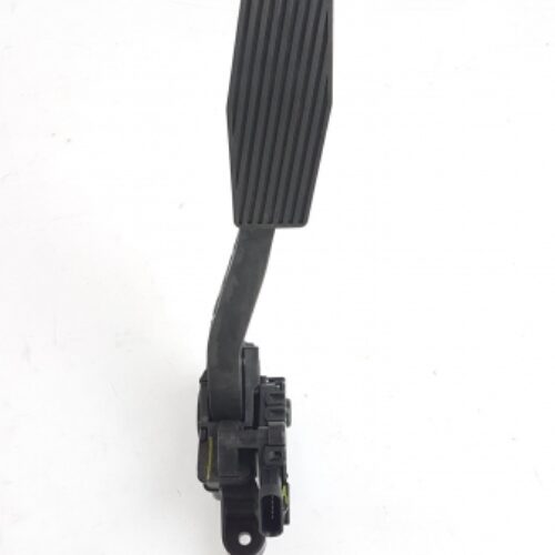 Accelerator Pedal, 39050156
