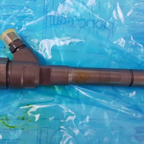 Injector Nozzle, 166000804R