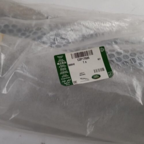 Ventilation Grille, Bumper, C2P17585