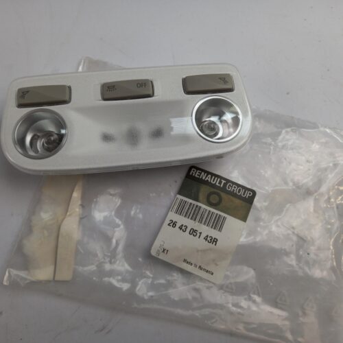 Interior Light, 264305143R