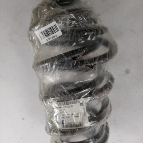 Coil Spring, 13276190