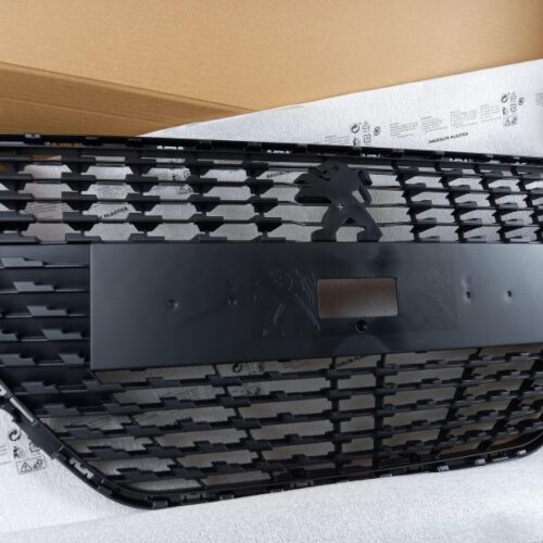 Radiator Grille, 98232099XT