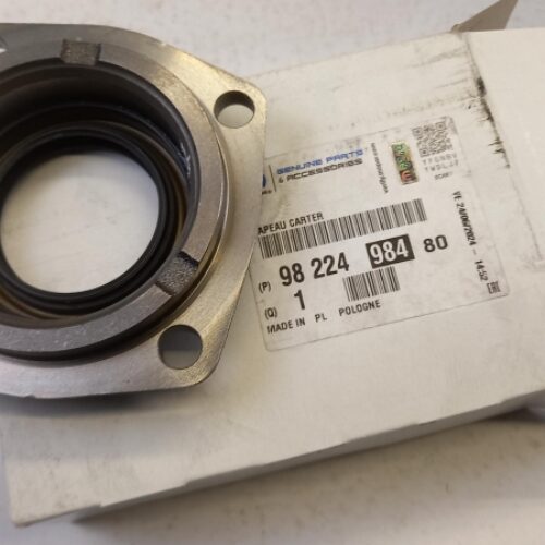Shaft Seal, Differential, 9822498480