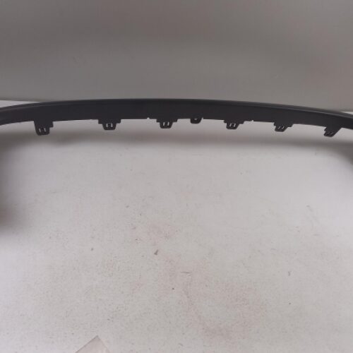 Trim/Protective Strip, Bumper, 1610794180