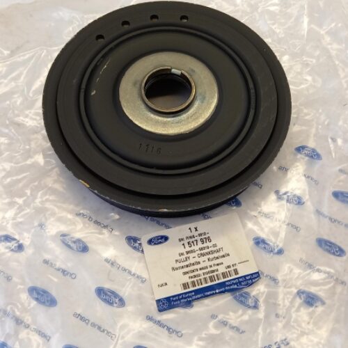 Belt Tensioner/Pulley, 1517976