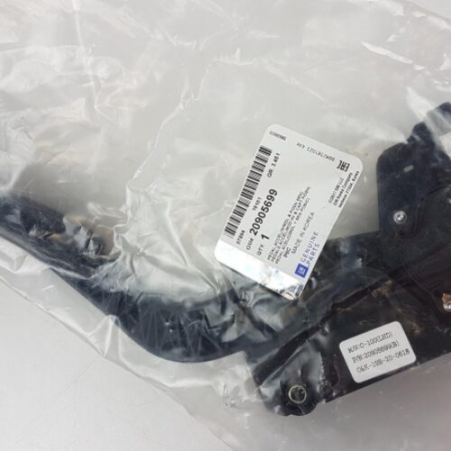 Accelerator Pedal, 20905699