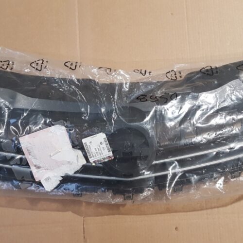 Radiator Grille, 93191829