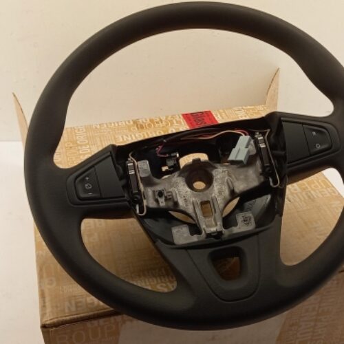 Steering Wheel, 484005127R